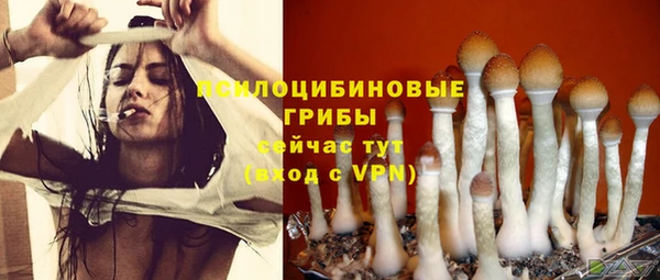 прущие крисы Ладушкин