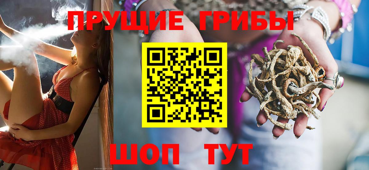 Псилоцибиновые грибы Magic Shrooms  Вход с VPN  Нарьян-Мар 